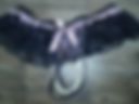Hot bra n panties tease