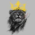 77Lion77