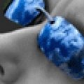 Sander_X