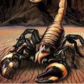 scorpionvp