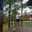 xdresser13953