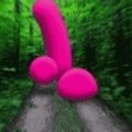 miggel