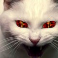 _Demon666