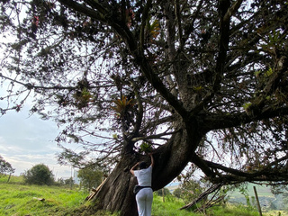 the nature