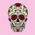 calavera777