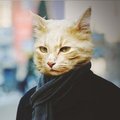 deviatorr