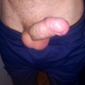 bogatir21