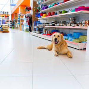 Pet store, spa and boutique