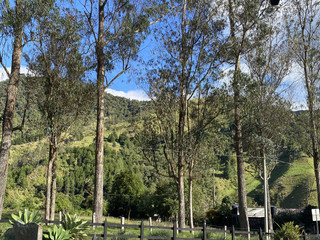 Get to know Britt better