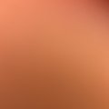 Berinbigdick1