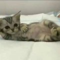 LuckyLicky