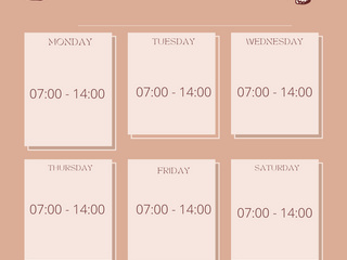 My schedule