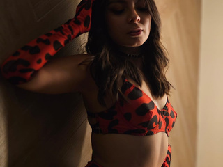 Ladybug