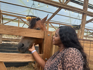 My Medellin trip📍