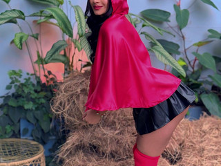 🐺Wolf, Where Are You?🐺