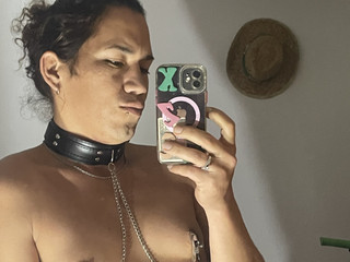 New collar