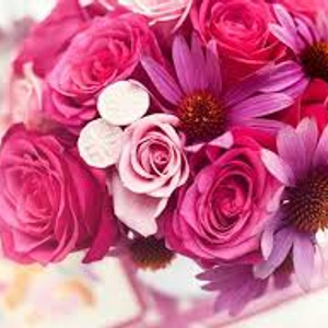 Pink Flowers