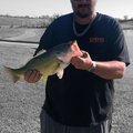 BigJoeK3985