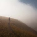 Wander___
