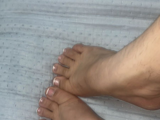 pies