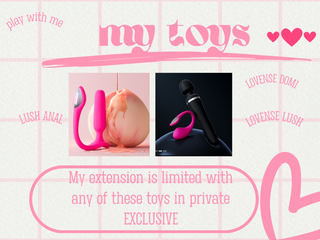 🌸my toys 🌸