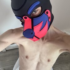 mellpupp