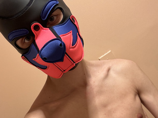 Puppy