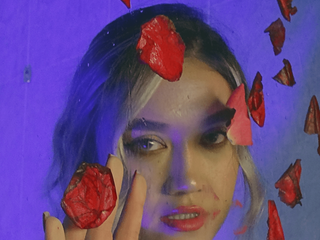 ROSES RAIN