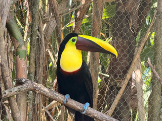 A day away from work