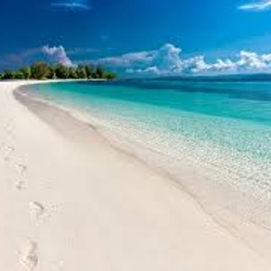 Travel