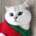 Andreyleo39