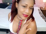 PAMELA14a