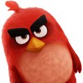 Angrybirds