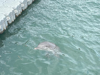 Beach, breeze and sea 🏖️