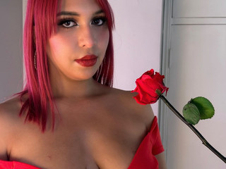 NOVEMBER CELEBRATION