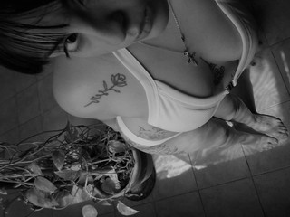 My Photos