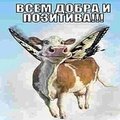 Alexey2099