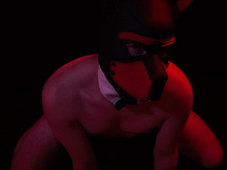 pup 3