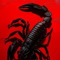 ---Scorpion---