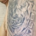 Rydikys3