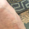 Wanttoshow