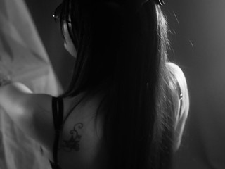 Velvet Shadows