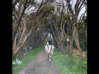 nature and me
