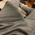 gocumalotonyou