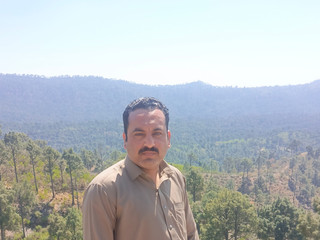 My Photos