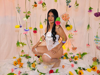 My Photos