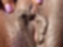 Pussy pics