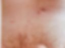 cock