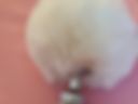 Rabbit ButtPlug