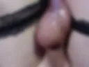 Suck my harder dick and balls